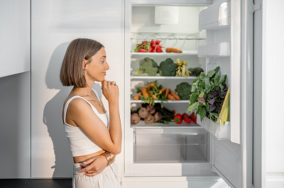Принцип работы домашнего холодильника